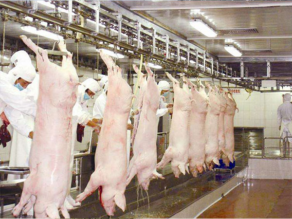 養(yǎng)殖、屠宰廢水